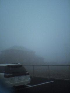 050209_081301.jpg