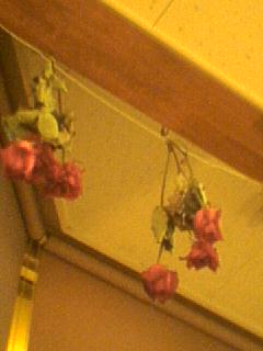 050222_190401.jpg