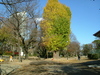 DSCF1081