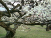 DSCF1215