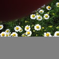 Dscf0044